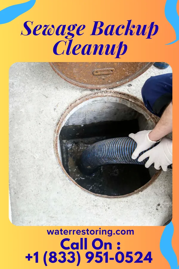 Sewage Backup Cleanup in Russell Gardens, NY